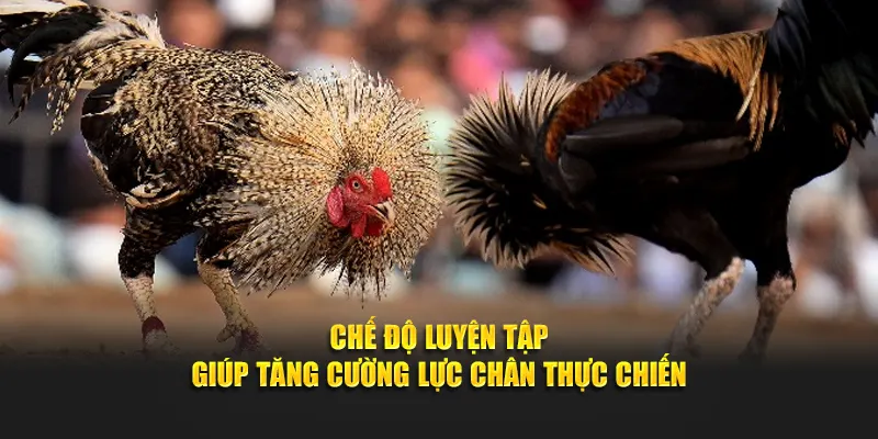 Chế độ luyện tập giúp tăng cường lực chân thực chiến