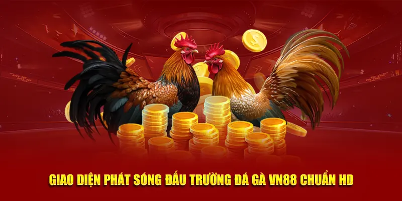 Giao diện phát sóng đấu trường Đá Gà VN88 chuẩn HD