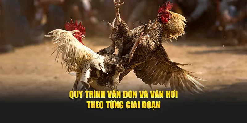 Quy trình vần đòn và vần hơi theo từng giai đoạn