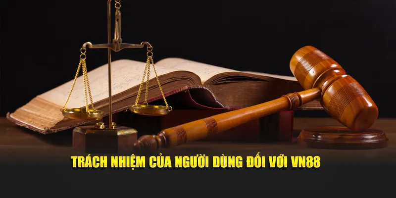 Trách nhiệm của người dùng đối với VN88