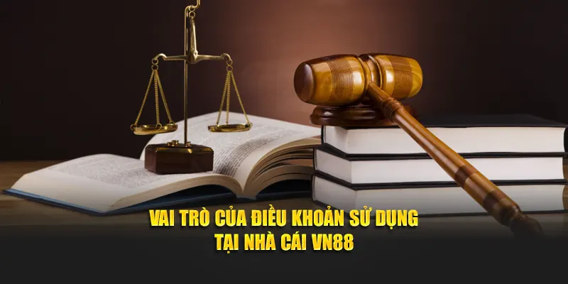 Vai trò của điều khoản sử dụng tại nhà cái